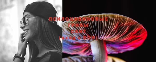 эйфоретик Медвежьегорск