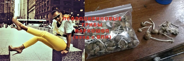 мдпв Майский